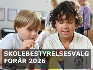 Skolebestyrelsesvalg